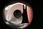 "Done and Dusted Sheila" pot lid