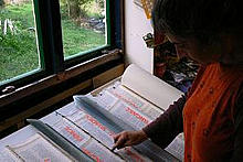 Tui at work table
