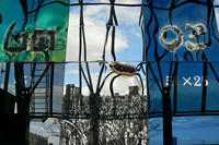 Sapporo Dome Wall Image