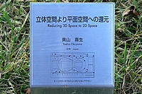 Reducing 3D  to 2D Space Plaque