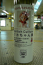 Girlish Culture