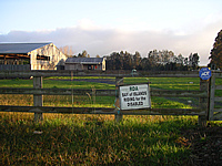 Tally Ho NZ