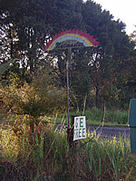 Waipapa Road 2